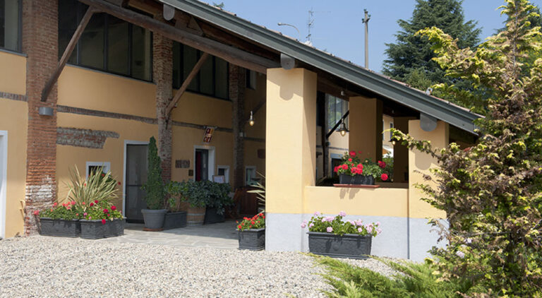 11 768x422