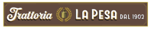logo nuovo pesa 300x58